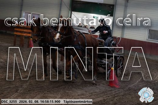 Mintakép 20260208-147