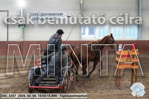 Mintakép 20260208-148