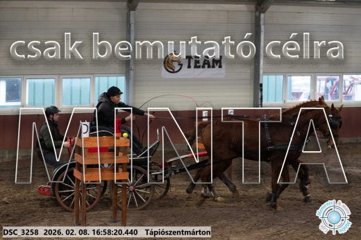 Mintakép 20260208-149