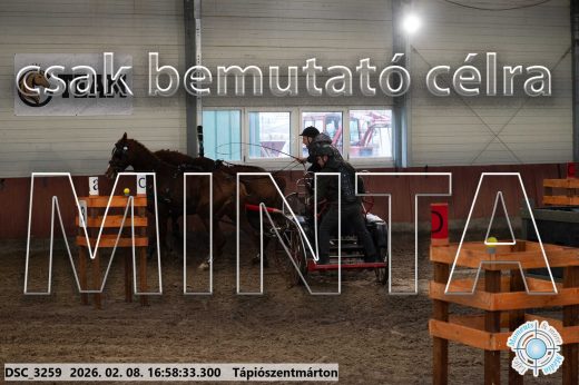 Mintakép 20260208-150