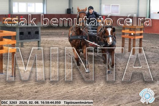 Mintakép 20260208-154