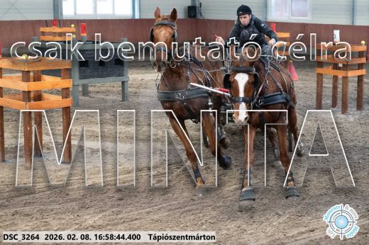 Mintakép 20260208-155