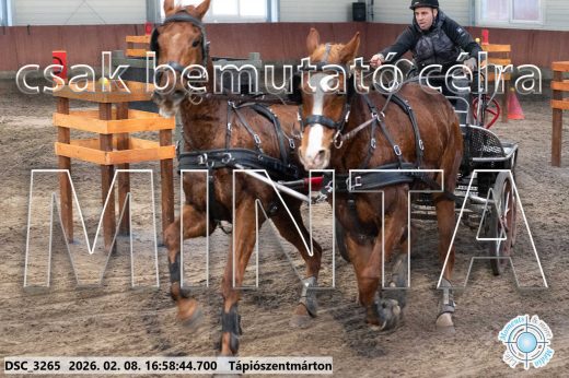 Mintakép 20260208-156