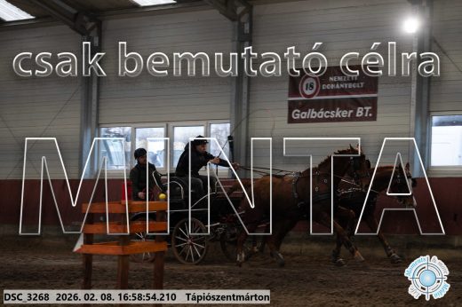 Mintakép 20260208-159