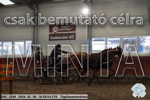 Mintakép 20260208-160