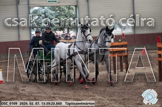 20260207-133920-DSC_0109.jpg
