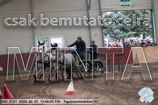 Mintakép 20260207-113