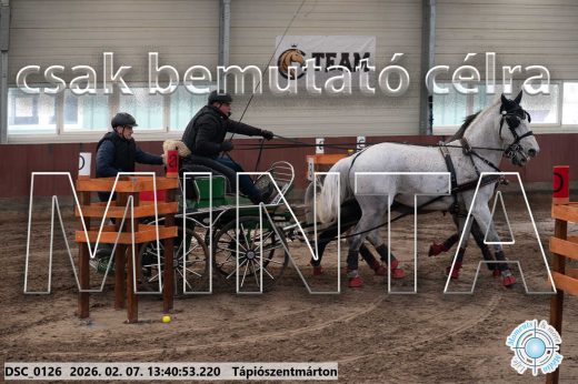 Mintakép 20260207-118