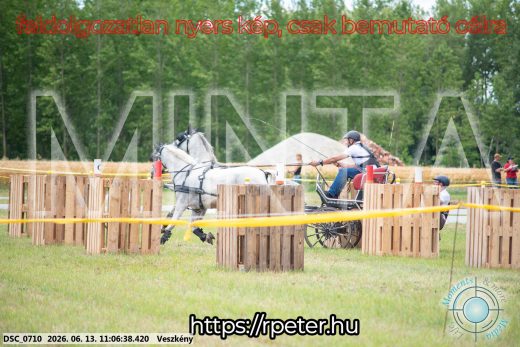 Mintakép 20260613-522