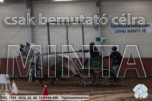 Mintakép 20260208-167
