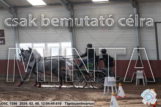 Mintakép 20260208-168
