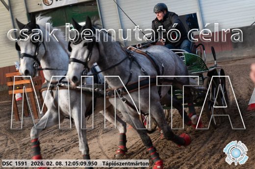 Mintakép 20260208-173