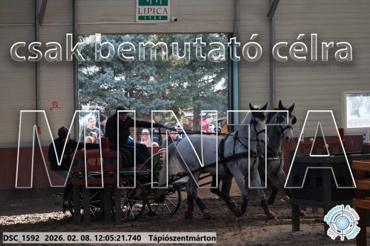 Mintakép 20260208-174