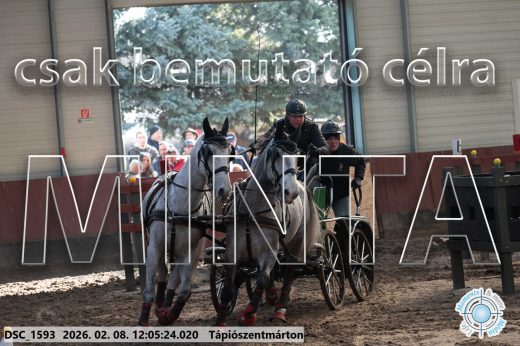Mintakép 20260208-175