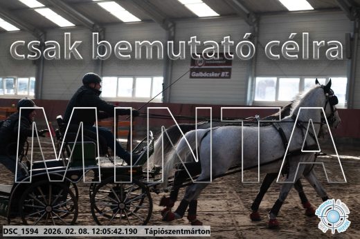Mintakép 20260208-176