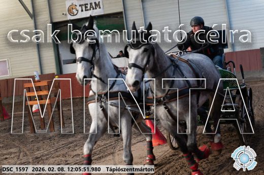 Mintakép 20260208-179