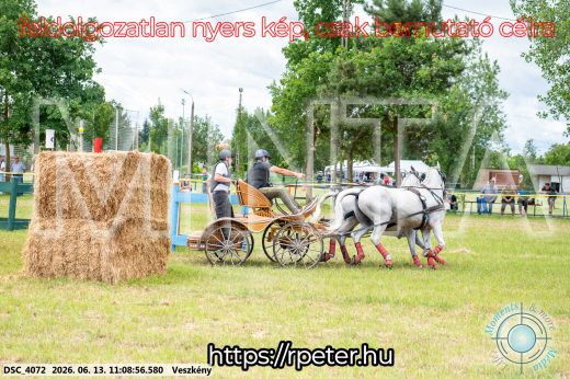 Mintakép 20260613-524