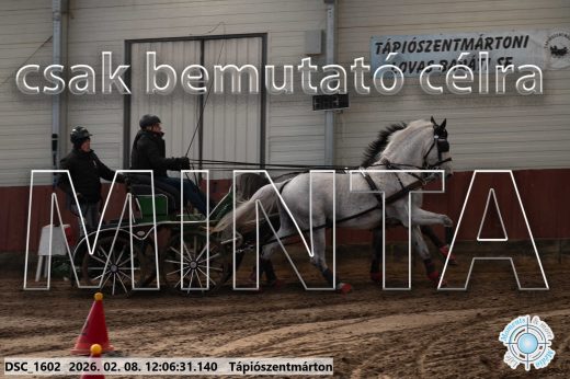 Mintakép 20260208-184