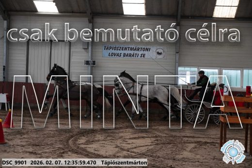 Mintakép 20260207-131