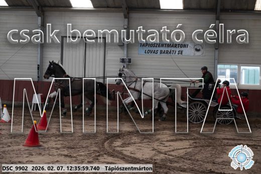Mintakép 20260207-132