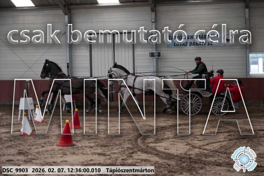 Mintakép 20260207-133