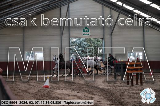 Mintakép 20260207-134