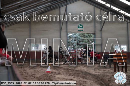 Mintakép 20260207-135