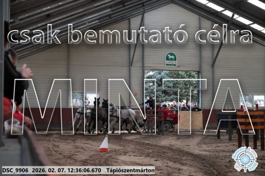 Mintakép 20260207-136