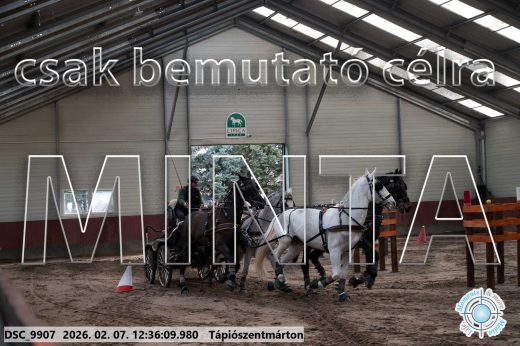 Mintakép 20260207-137
