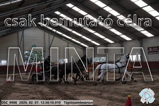 Mintakép 20260207-138