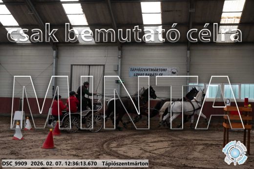 Mintakép 20260207-139