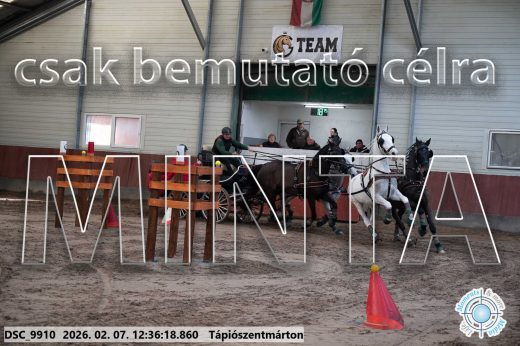 Mintakép 20260207-140