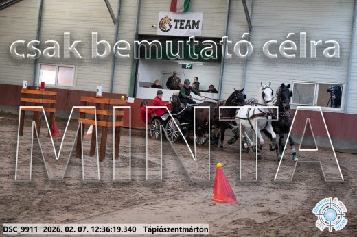 Mintakép 20260207-141