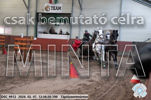 Mintakép 20260207-142