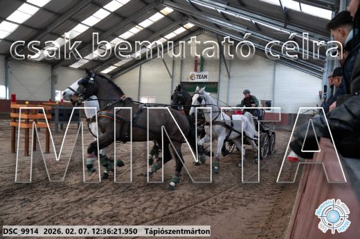 Mintakép 20260207-144