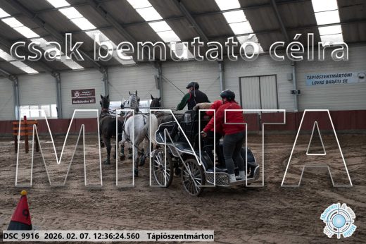 Mintakép 20260207-145