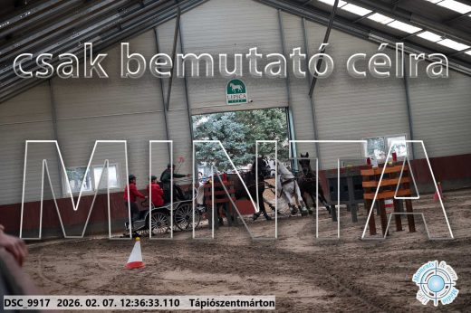 Mintakép 20260207-146