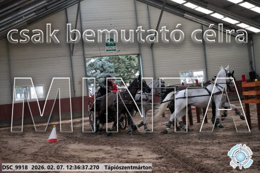Mintakép 20260207-147