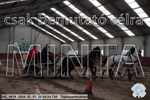 Mintakép 20260207-148