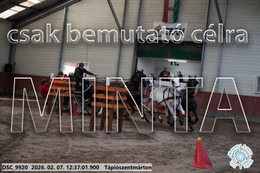 Mintakép 20260207-149