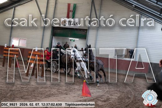 Mintakép 20260207-150