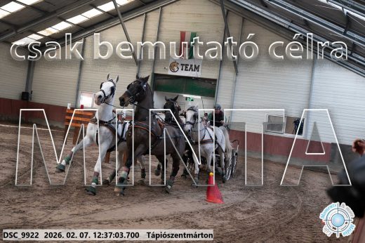 Mintakép 20260207-151