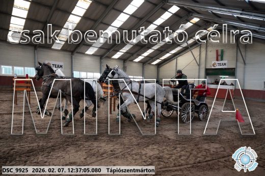 Mintakép 20260207-154