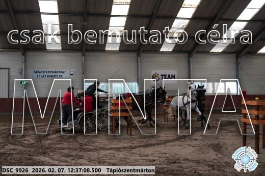 Mintakép 20260207-155