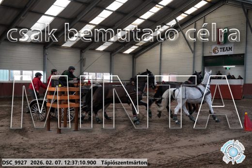 Mintakép 20260207-156