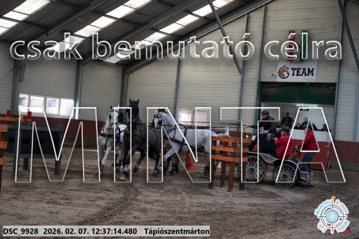 Mintakép 20260207-157