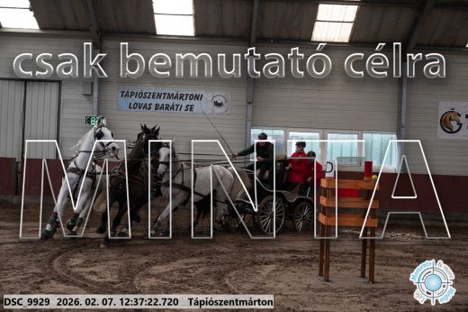 Mintakép 20260207-158