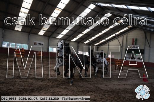 Mintakép 20260207-160