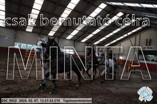 Mintakép 20260207-161