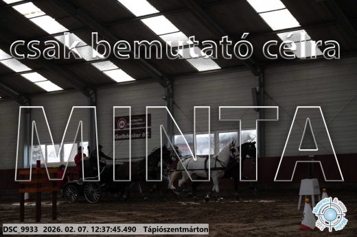 Mintakép 20260207-162